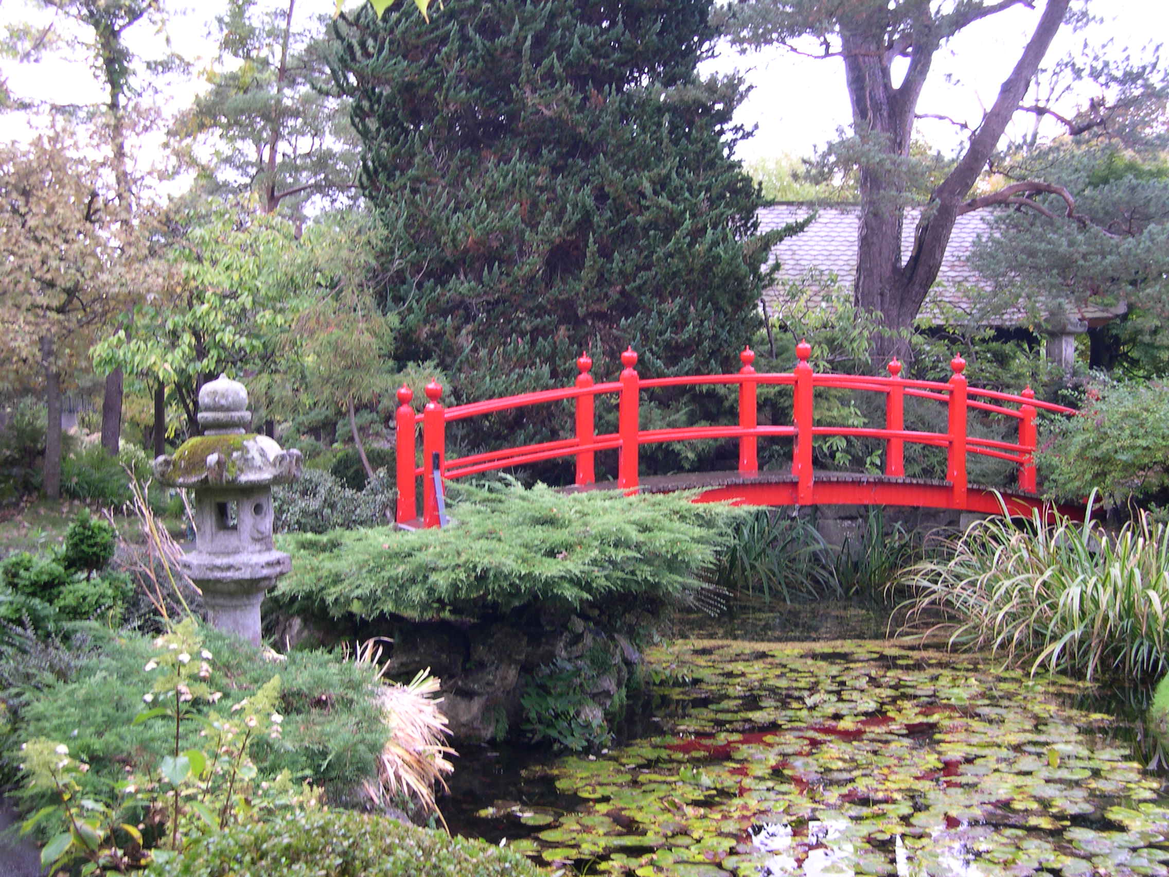 Japanese Garden Kildare by Peter Clarke
